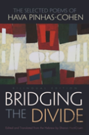 Bridging The Divide