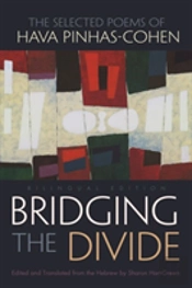Bridging The Divide