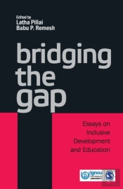 Bridging The Gap
