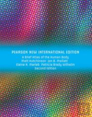 Brief Atlas Of The Human Body, A
