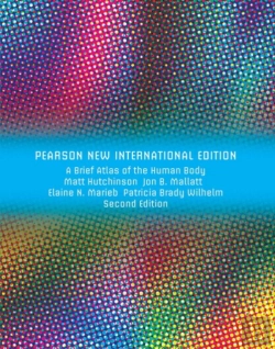Bertrand.pt - Brief Atlas Of The Human Body, A
