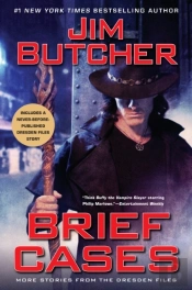 Brief Cases