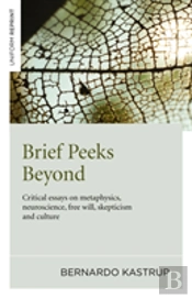 Brief Peeks Beyond