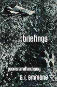 Briefings
