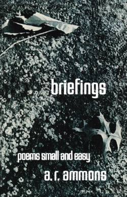 Bertrand.pt - Briefings