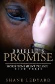 Brielle'S Promise