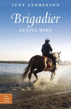 Bertrand.pt - Brigadier