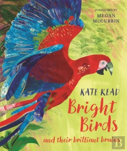 Bertrand.pt - Bright Birds