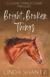 Bright, Broken Things