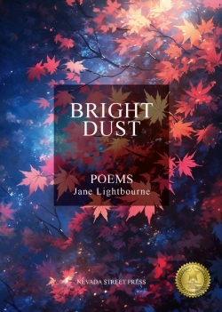 Bertrand.pt - Bright Dust