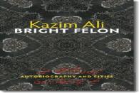 Bright Felon