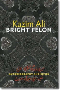 Bertrand.pt - Bright Felon