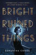 Bright Ruined Things
