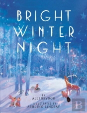 Bright Winter Night