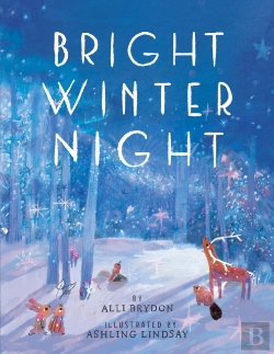 Bertrand.pt - Bright Winter Night