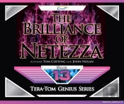 Brilliance Of Netezza