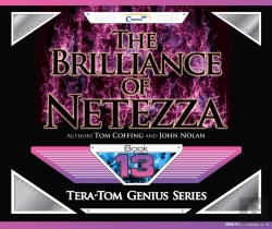 Bertrand.pt - Brilliance Of Netezza