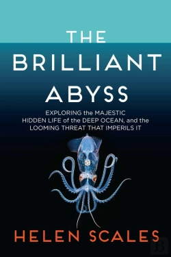 Bertrand.pt - Brilliant Abyss