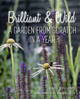 Brilliant And Wild