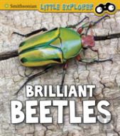 Brilliant Beetles