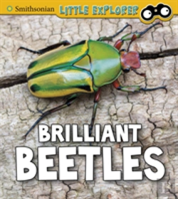 Bertrand.pt - Brilliant Beetles