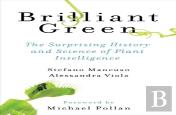 Brilliant Green