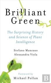 Brilliant Green