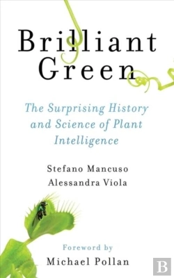 Bertrand.pt - Brilliant Green