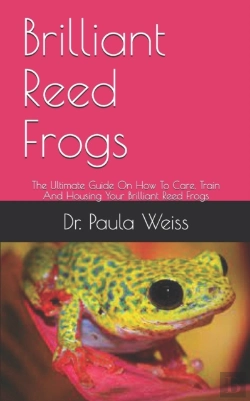 Bertrand.pt - Brilliant Reed Frogs