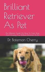 Brilliant Retriever As Pet
