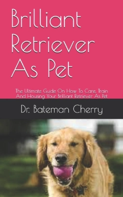 Bertrand.pt - Brilliant Retriever As Pet