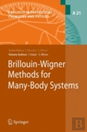 Brillouin-Wigner Methods For Many-Body Systems
