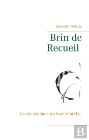 Brin De Recueil ; La Vie Est Dans Un Bout D'Herbe