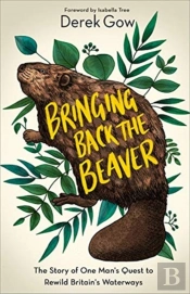 Bringing Back The Beaver