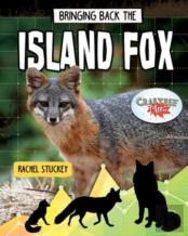 Bringing Back The Island Fox