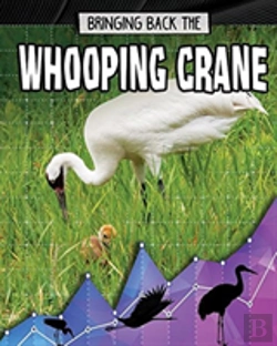 Bertrand.pt - Bringing Back The Whooping Crane