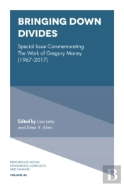 Bringing Down Divides