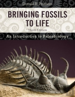 Bertrand.pt - Bringing Fossils To Life
