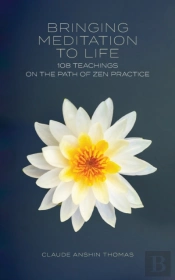 Bringing Meditation To Life
