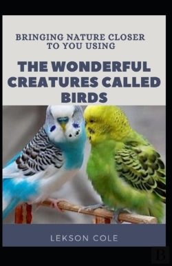 Bertrand.pt - Bringing Nature Closer To You Using The Wonderful Creatures Called Birds