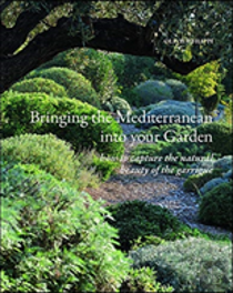 Bringing The Mediterranean Into Your Garden