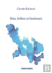 Bris, Bribes Et Bonheurs
