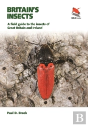 Britain'S Insects