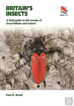 Bertrand.pt - Britain'S Insects