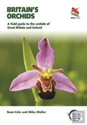 Britain'S Orchids