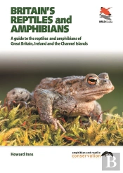Britain'S Reptiles And Amphibians