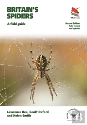 Britain'S Spiders