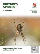 Britain'S Spiders