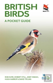 British And Irish Birds