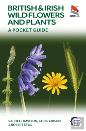 British And Irish Wild Flowers And Plants